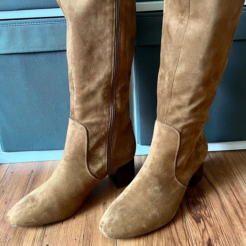 J. Crew Brown Suede Over the Knee Boots